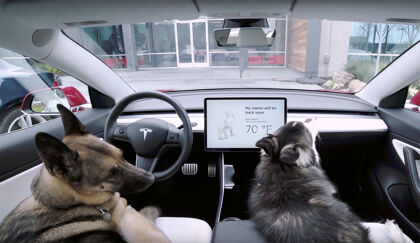 Tesla se preocupa por las mascotas y lanza su «Dog Mode»
