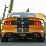 Shelby Mustang GT S 9 150x150