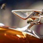 Bentley Abejas Miel 1 150x150