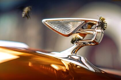 En Bentley no todo son coches de lujo, también tienen abejas