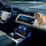 Head Up Display 3D Jaguar Land Rover 2 150x150