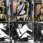 Cerdos Vivos Crash Test 2 150x150