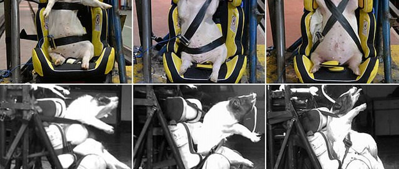 Todas las noticias de coches en un solo portal: Pruebas, fotos, vídeos, informes...