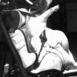 Cerdos Vivos Crash Test 5 150x150