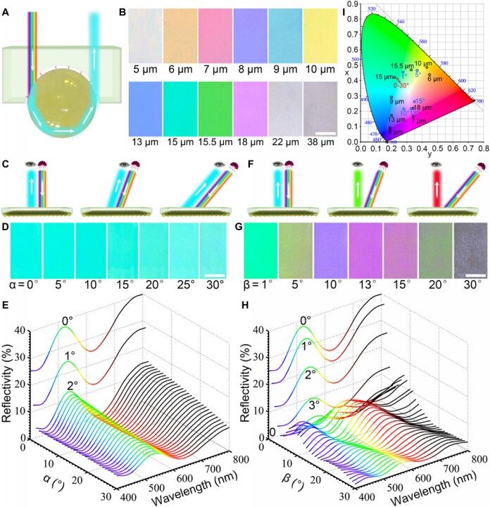 Senal De Trafico Luminosa 02