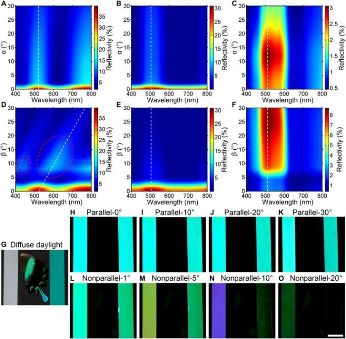 Senal De Trafico Luminosa 03 700x686
