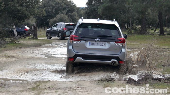 Subaru Forester Hybrid Prueba 8 700x394