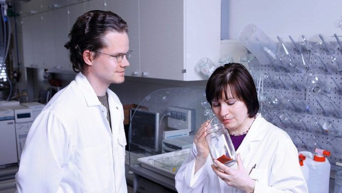 Audi Nose Team 2 700x394