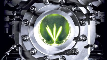 Mercedes, a diferencia de otros, cree que los combustibles sintéticos no son viables