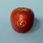 Lexus Manzanas 2 150x150