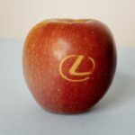 Lexus Manzanas 4 150x150