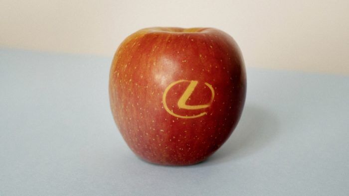 Lexus Manzanas 4 700x394