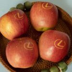 Lexus Manzanas 5 150x150