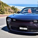 Mazda MX 5 Nc Ducks Garden 12 150x150