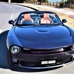 Mazda MX 5 Nc Ducks Garden 13 150x150