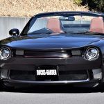 Mazda MX 5 Nc Ducks Garden 15 150x150