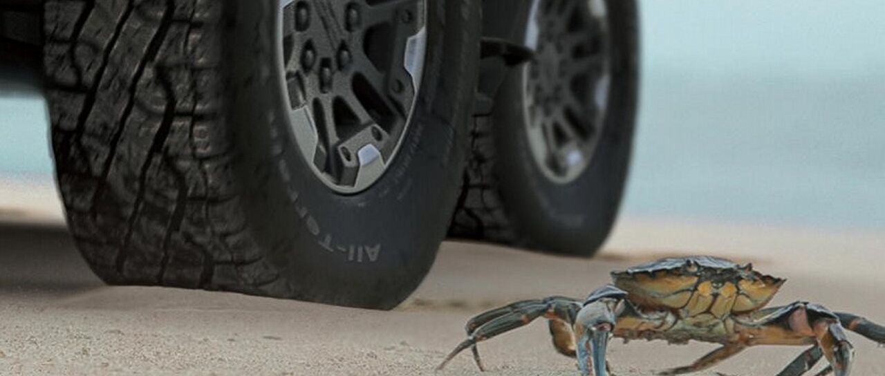 Todas las noticias de coches en un solo portal: Pruebas, fotos, vídeos, informes...