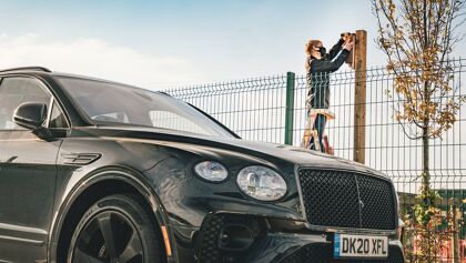 Además de coches, Bentley también fabrica casas para pájaros y murciélagos