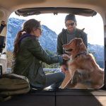 Ford Galaxy Hybrid 2 150x150