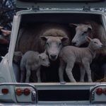 Citroen AMI 6 Break 10 150x150