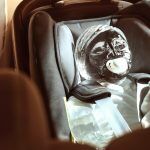 Ford Bebe De Hielo 1 150x150