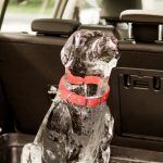 Ford Perro De Hielo 1 150x150