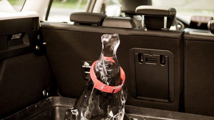 Ford Perro De Hielo 2 700x394