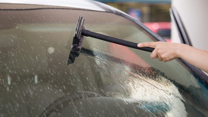 Coche Sucio Insectos 2 700x394