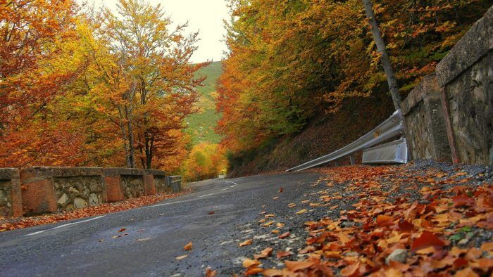 Carretera Otono 700x394