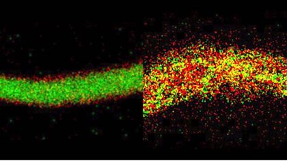 La zona muerta que puede dar vida a baterías de silicio de alta densidad