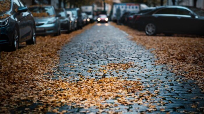 Hojas En El Coche 2 700x393