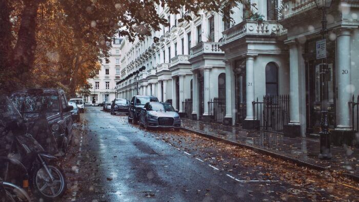 Hojas En El Coche 5 700x394