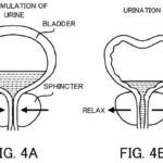 Toyota Alerta Ninos Bano 5 150x150