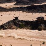 Prodrive Hunter Sebastian Loeb Dakar 2022 4 150x150