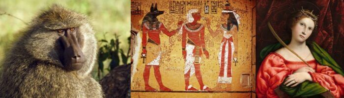 Color Rojo Historia 700x200