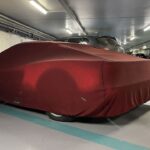 Ferrari Testarrosa Abandonado 2 150x150