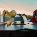 Skoda Enyaq IV 80 FestEVal 19 150x150