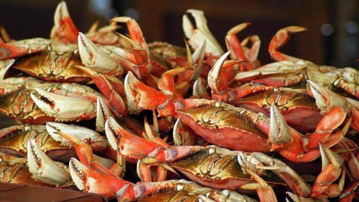 Cangrejos 1 700x394