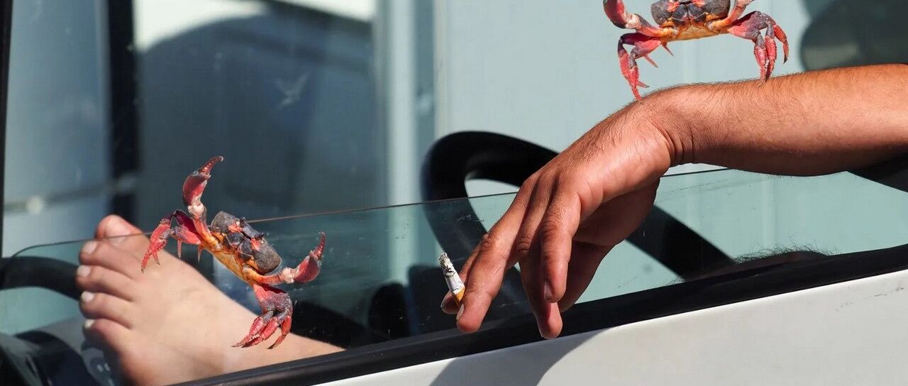 Todas las noticias de coches en un solo portal: Pruebas, fotos, vídeos, informes...