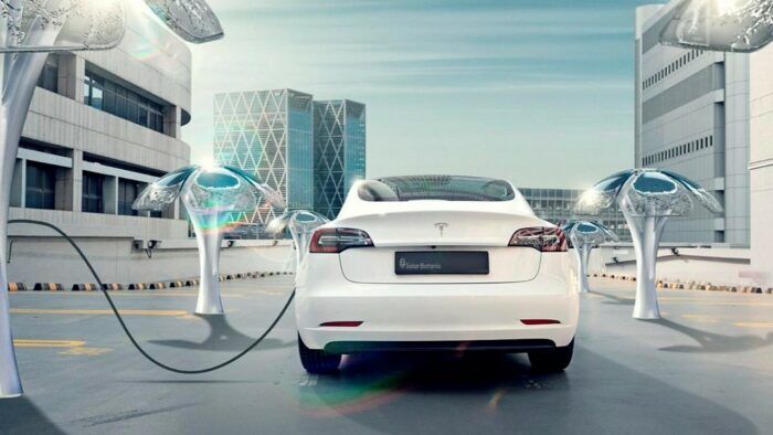 SolarBotanic Trees Arbol Solar 2 700x394