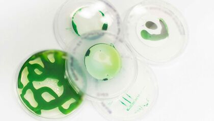 Estos microbios comen petróleo y excretan el hidrógeno más barato del mundo