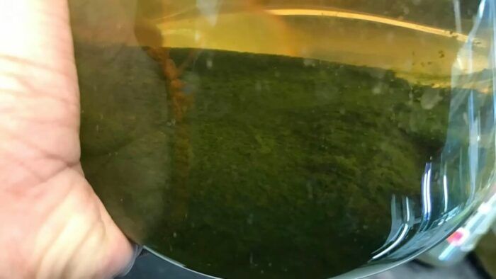 Algas Cafe 1 700x394