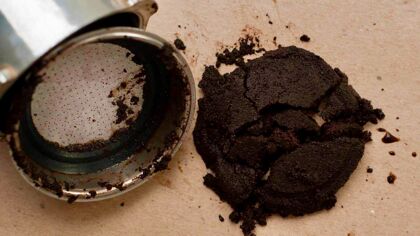 Posos de café que sustentan algas que producen biodiésel. Suena raro, pero funciona