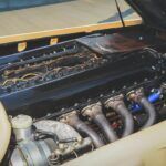 John Dodd The Beast 11 150x150