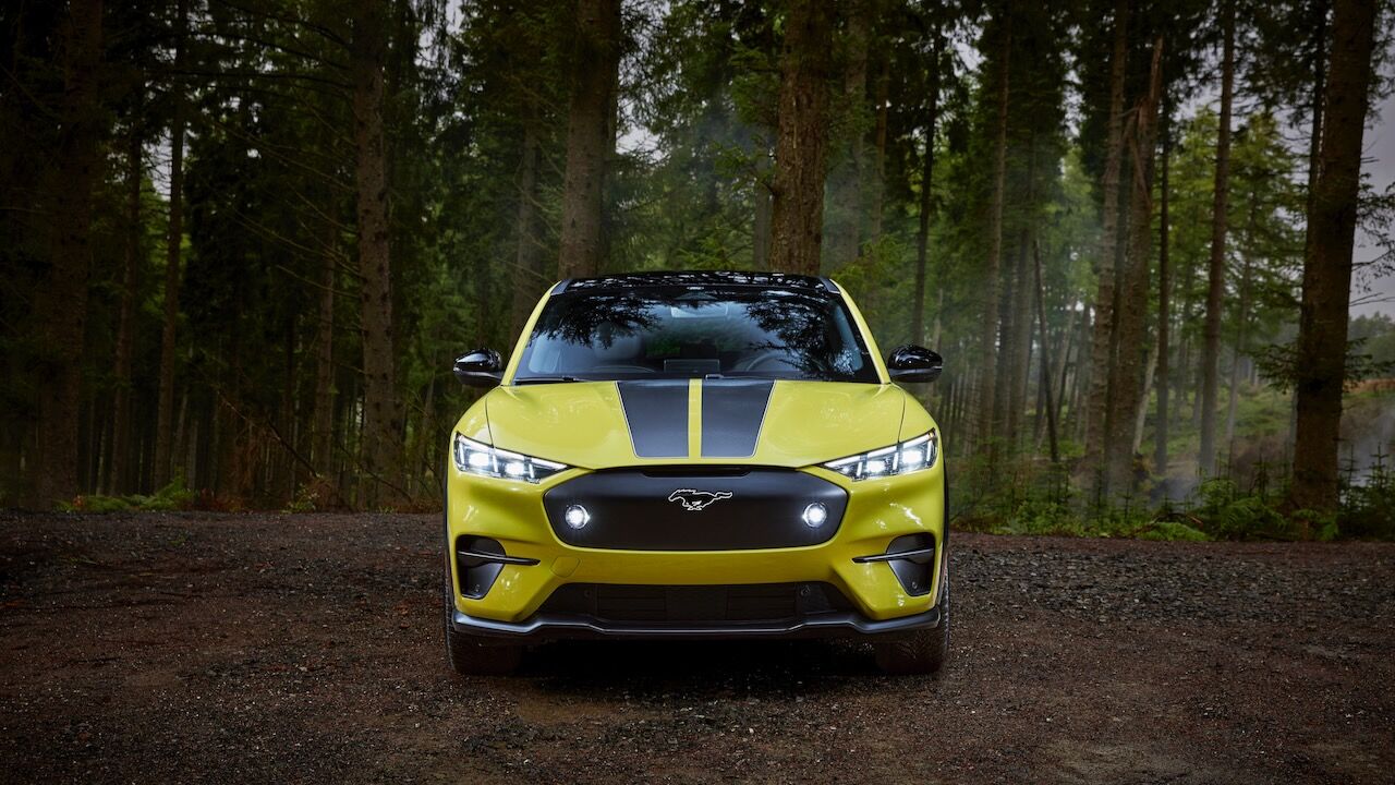 Ford Mustang Mach E Rally 17