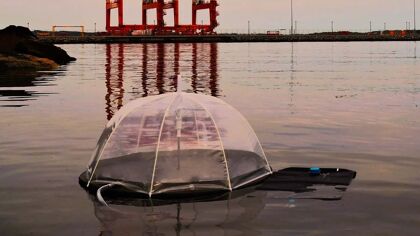 Este dispositivo hecho con neumáticos viejos purifica casi cuatro litros de agua al día