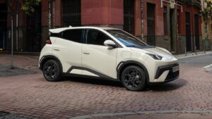 Imagen de byd-dolphin-surf-2026