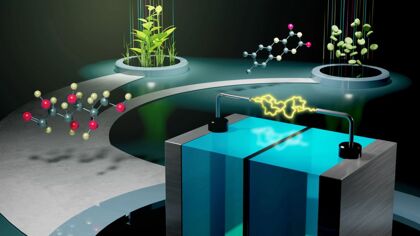 Lo viste en Matrix: los científicos idean una batería de azúcar y vitaminas inspirada en el cuerpo humano