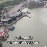 Short Singapur 150x150