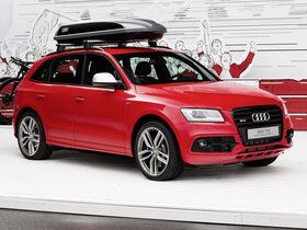 Imagen de SQ5 Worthersee Edition